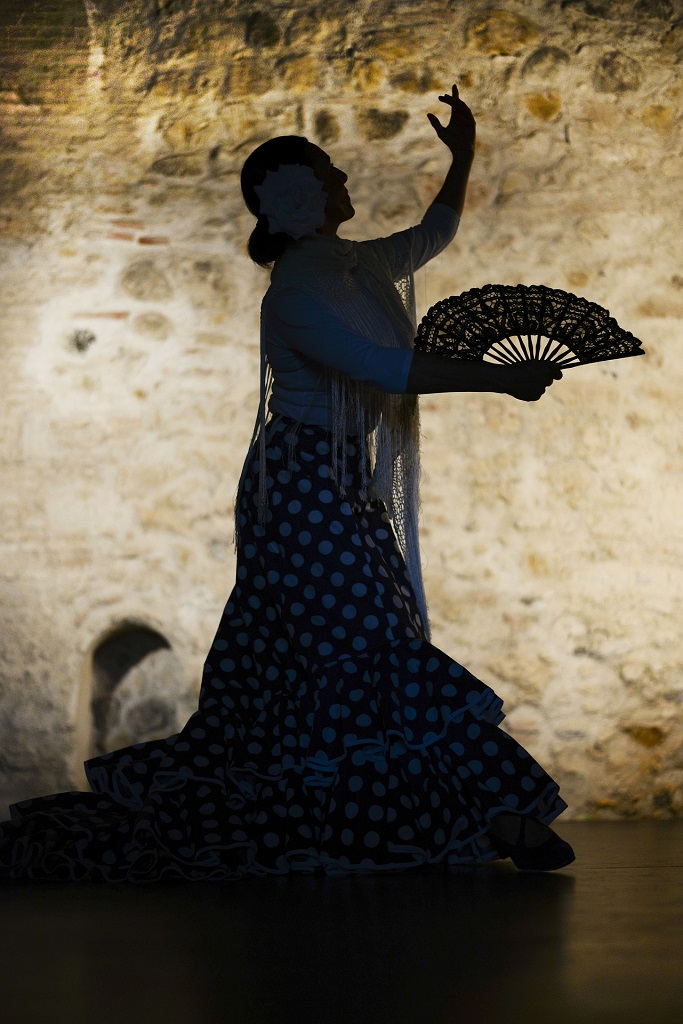 flamenco-dancer-authentic-show