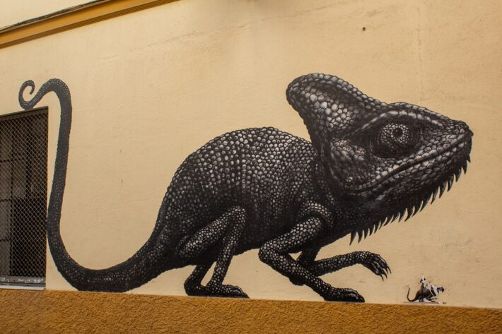 roa graffiti in soho malaga street art