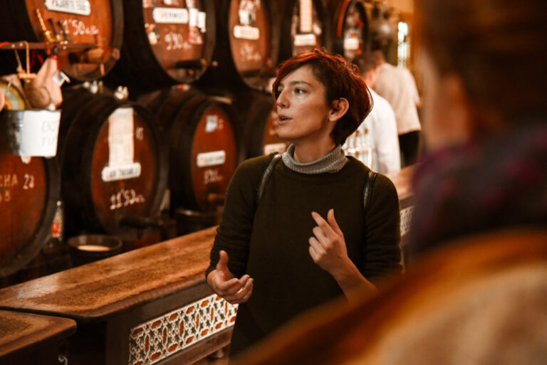 Tour guide, wine and tapas experience