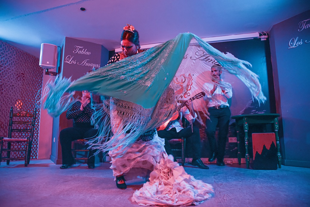 Traditional Flamenco show