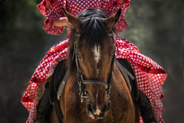 Fairs & Traditional Festivals: Andalusian people's essence