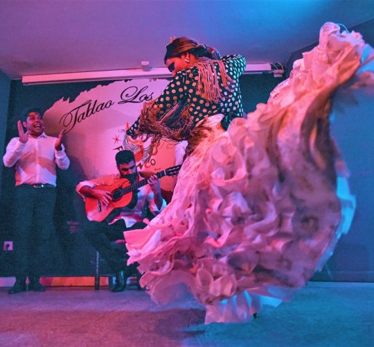 Flamenco dance show