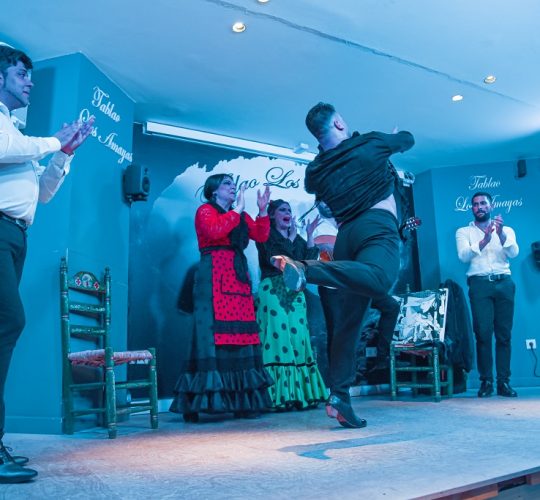 Flamenco show in a famous flamenco place