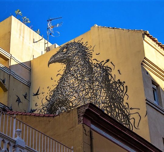 17. Street-art-tour-malaga-soho-lagunillas-graffiti-dal-east-bird-omgg