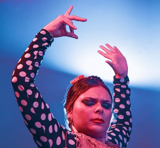 Flamenco show in Granada