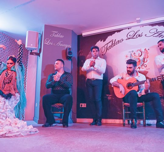 Flamenco show at Granada