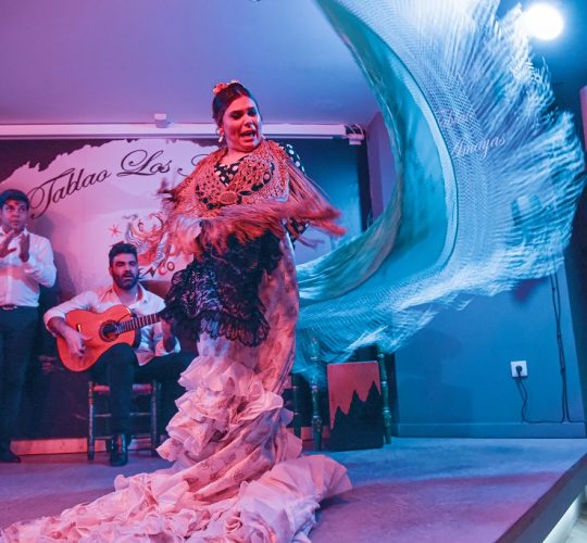 Flamencho dance show in Malaga