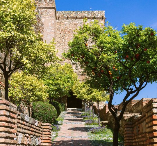 alcazaba-tour-malaga-roman-theatre-13