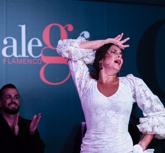 best-flamenco-show-malaga-5