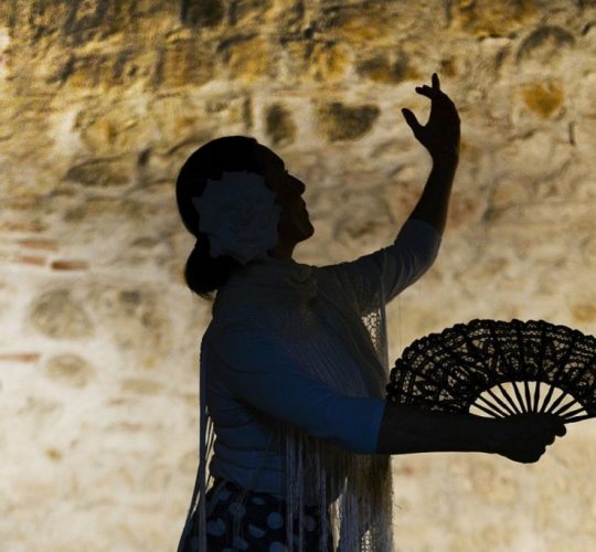 Woman dancing flamenco in Granada