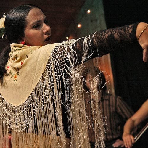 Flamenco-dancer-performing